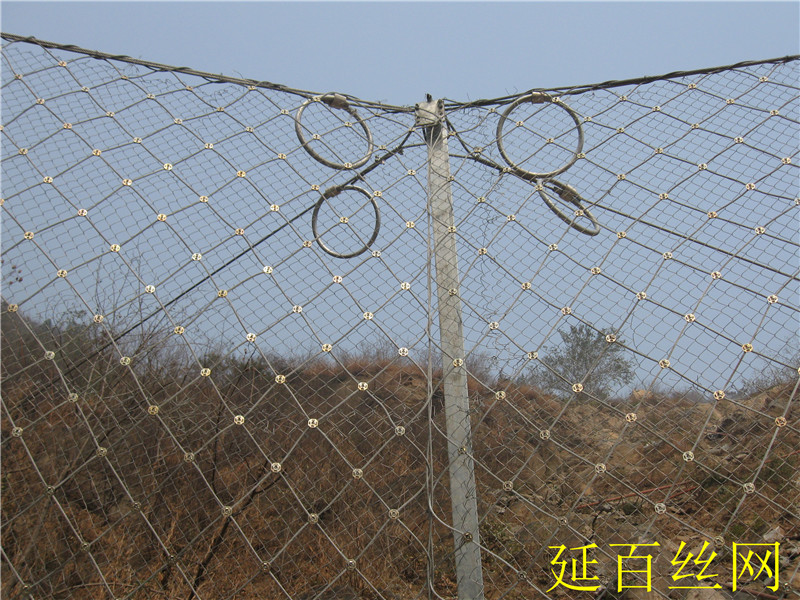 RX-050型被动防护网